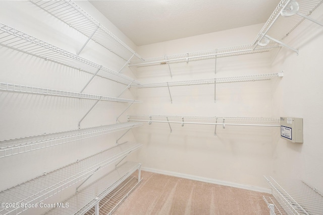 walk in closet featuring carpet