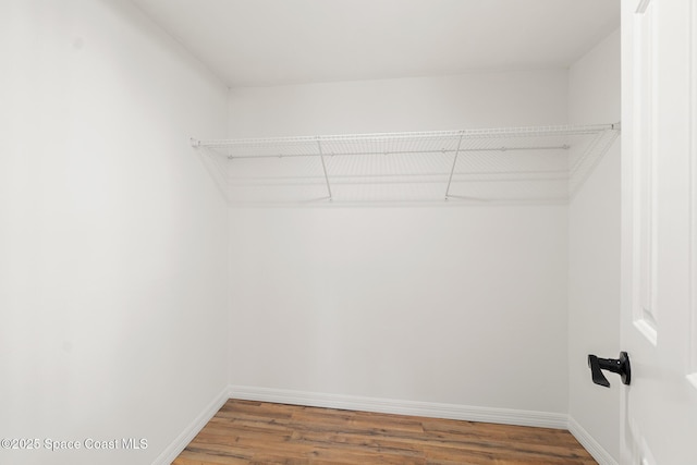 spacious closet featuring wood finished floors