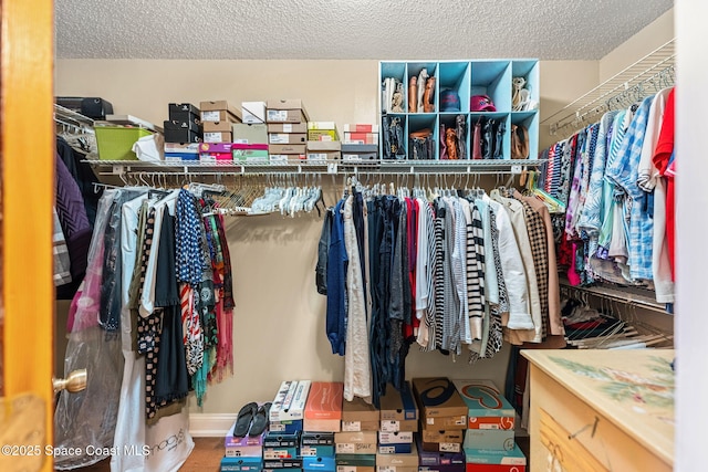 view of spacious closet