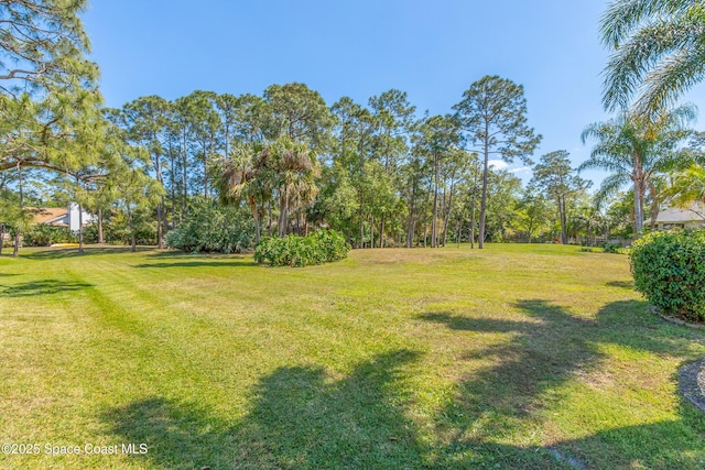 3833 Peacock Dr, Melbourne, FL 32904 - photo 40