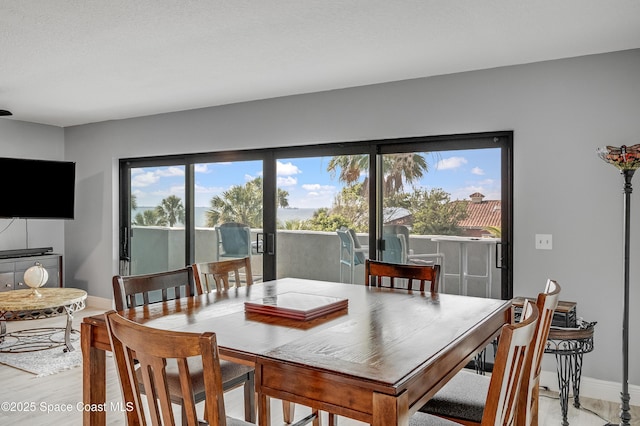 5055 Dixie Hwy NE Unit B206, Palm Bay, FL 32905 - dining area with baseboards, plenty of natural light, and light wood-style floors