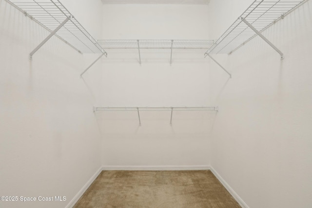 spacious closet with light carpet