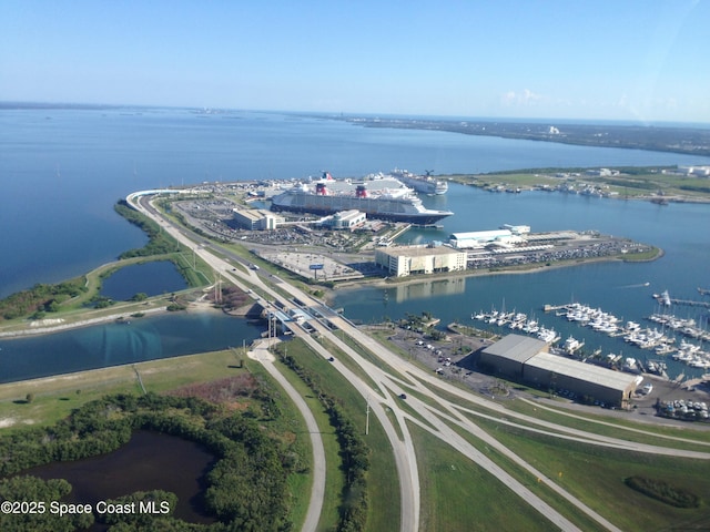 bird's eye view with a water view