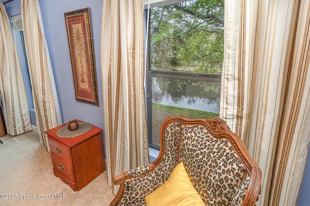 living area featuring carpet