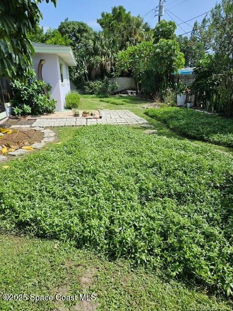 124 E Dover St E, Satellite Beach, FL 32937 - view of yard