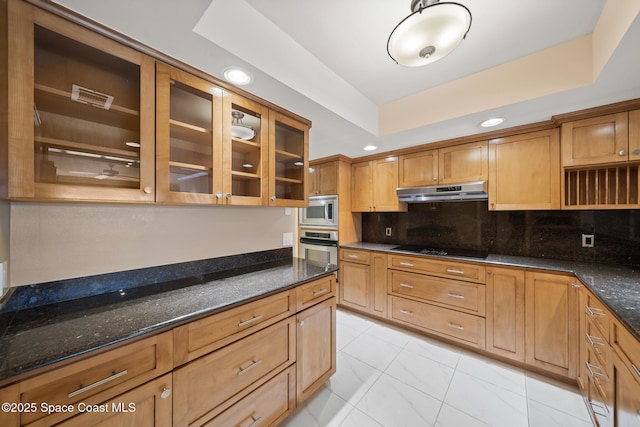 kitchen featuring under cabinet range hood, appliances with stainless steel finishes, dark stone countertops, a raised ceiling, and glass insert cabinets