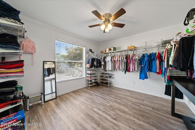 spacious closet featuring wood finished floors and a ceiling fan