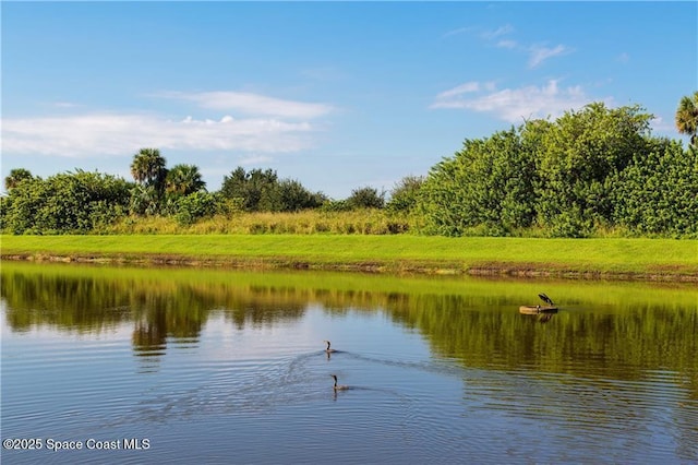 property view of water