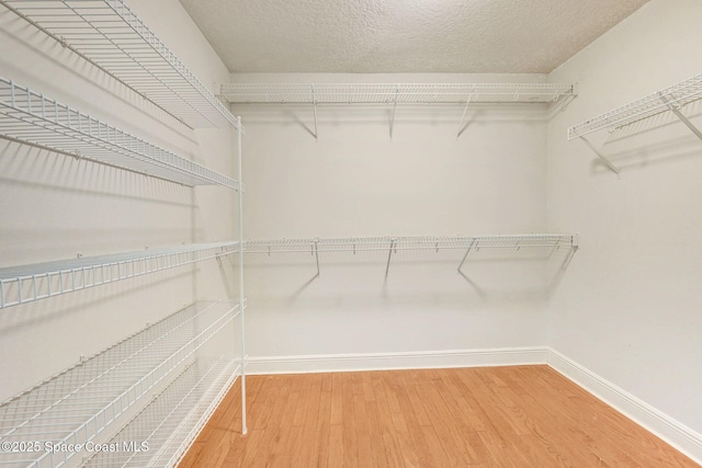 walk in closet featuring wood finished floors