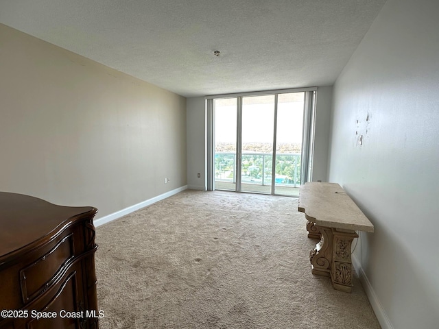 unfurnished room featuring carpet floors, baseboards, floor to ceiling windows, and a textured ceiling