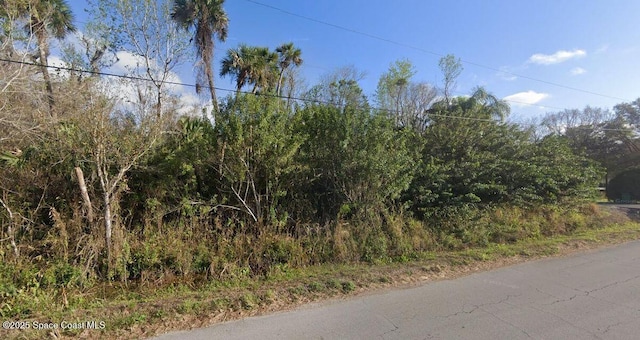 3358 Lionel Rd, Mims FL, 32754 land for sale