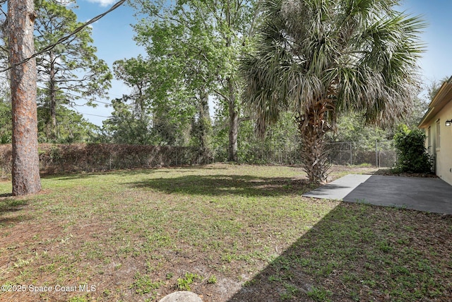 view of yard with a patio area and a fenced backyard