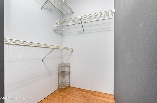 walk in closet featuring wood finished floors