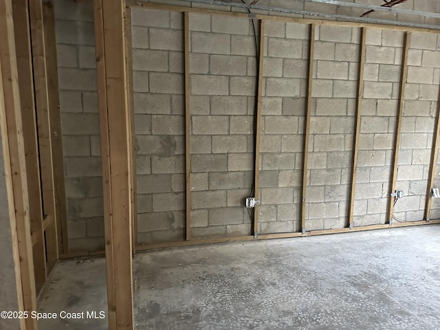 basement featuring concrete block wall