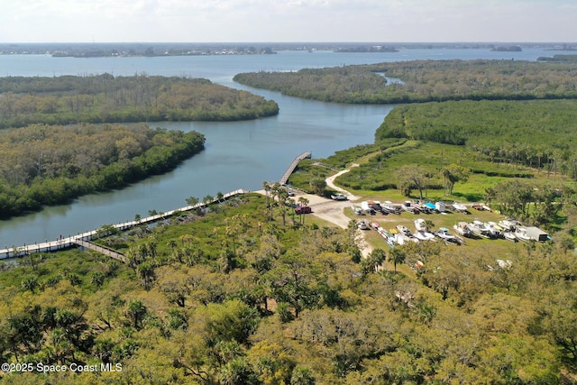 bird's eye view with a water view and a view of trees