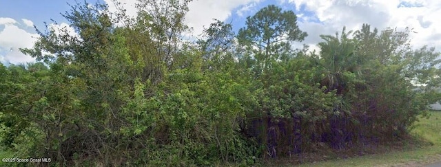 3077 Tivoli Ave SE, Palm Bay FL, 32909 land for sale