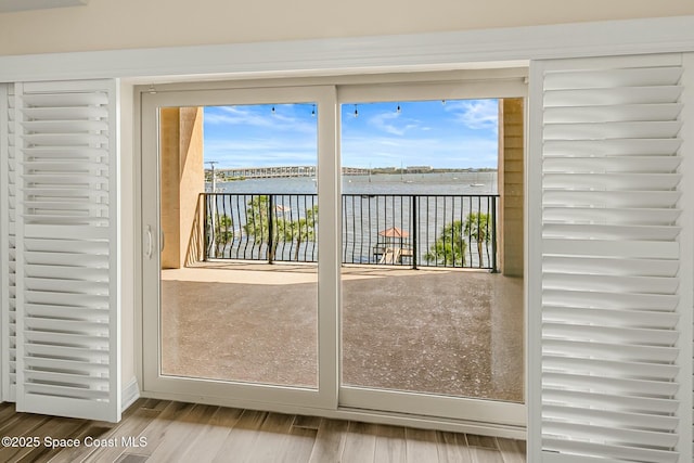 entryway featuring a healthy amount of sunlight and wood finished floors