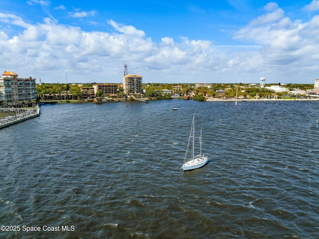 property view of water