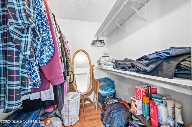 spacious closet with wood finished floors