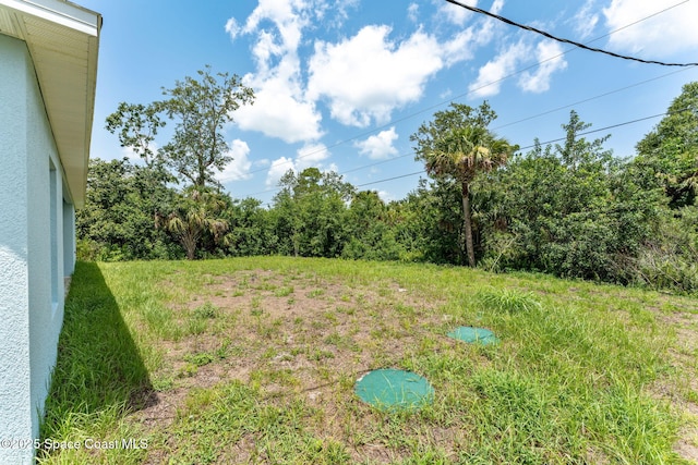 2100 Cogan Dr SE, Palm Bay, FL 32909 - view of yard