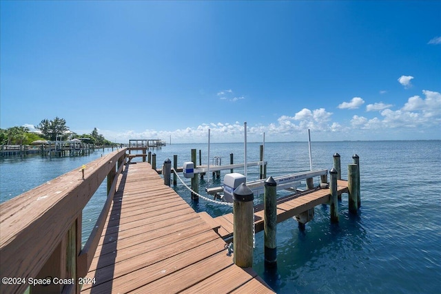 dock area with a water view