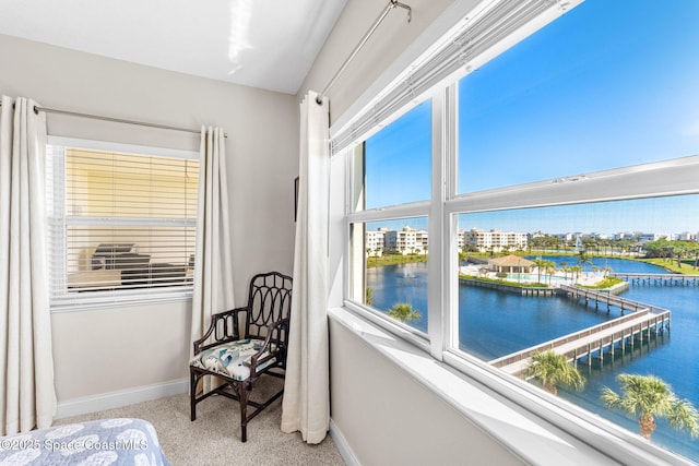 bedroom featuring carpet, a water view, and baseboards