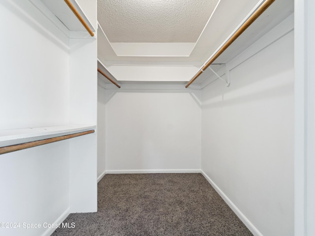 walk in closet with carpet