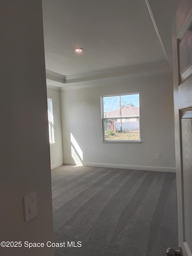 unfurnished room featuring a tray ceiling, carpet, ornamental molding, and baseboards