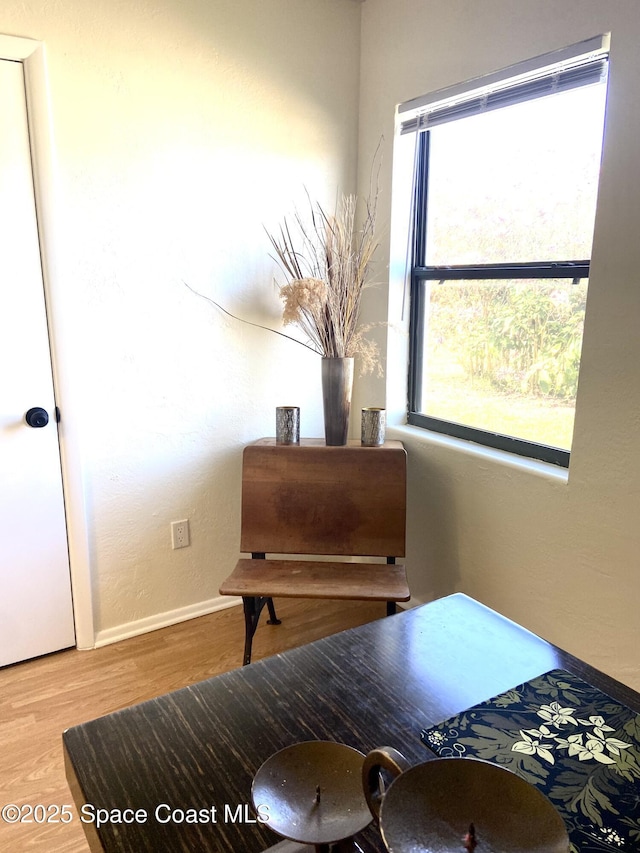 interior space with baseboards and wood finished floors