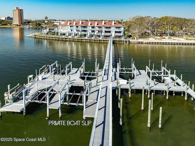 dock area featuring a water view and boat lift