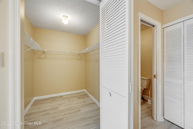 walk in closet featuring wood finished floors