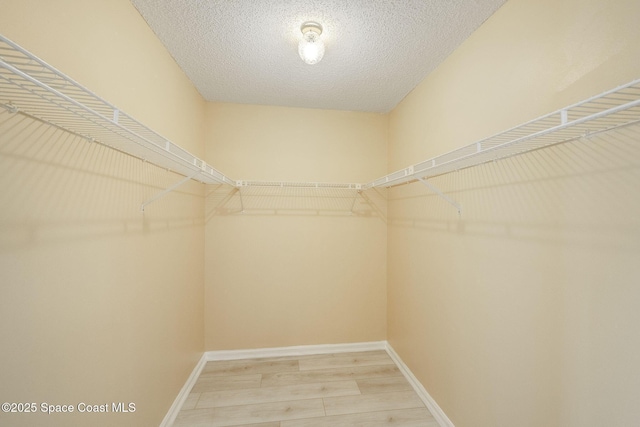 walk in closet featuring light wood finished floors