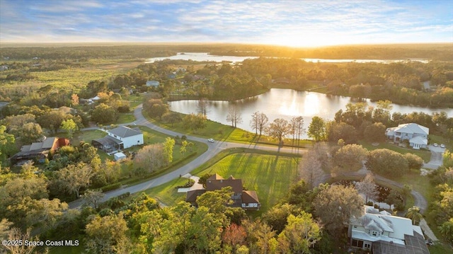 3794 Rambling Acres Dr, Titusville, FL 32796 - aerial view featuring a water view and a view of trees