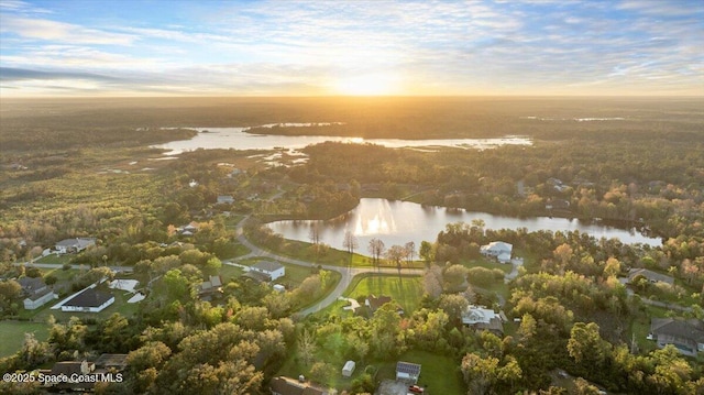 3794 Rambling Acres Dr, Titusville, FL 32796 - aerial view with a water view