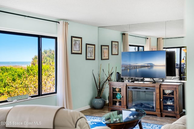 living room with a water view, baseboards, wood finished floors, and a glass covered fireplace