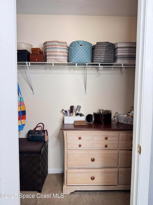 spacious closet featuring carpet flooring