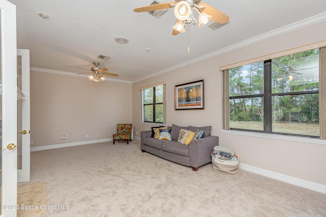 sitting room with a textured ceiling, ornamental molding, carpet, and baseboards