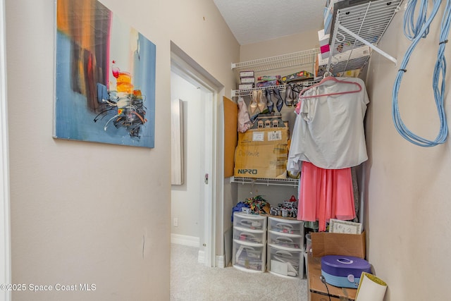 spacious closet with carpet floors