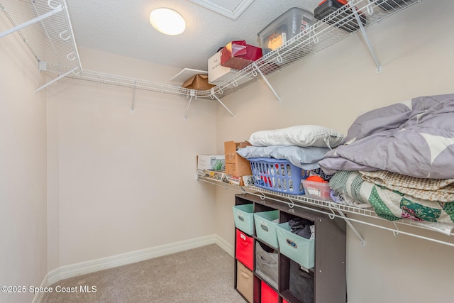 spacious closet featuring carpet flooring