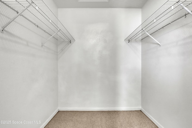 walk in closet with carpet