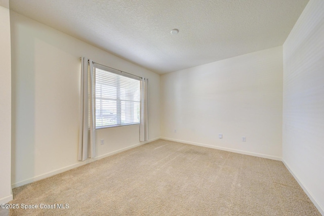 3240 Burrowing Owl Dr, Mims, FL 32754 - photo 8