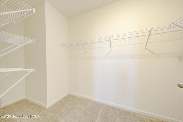 3240 Burrowing Owl Dr, Mims, FL 32754 - photo 38