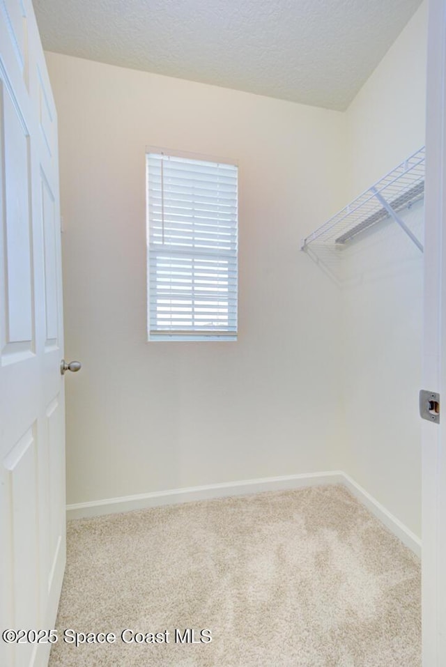 3240 Burrowing Owl Dr, Mims, FL 32754 - photo 37