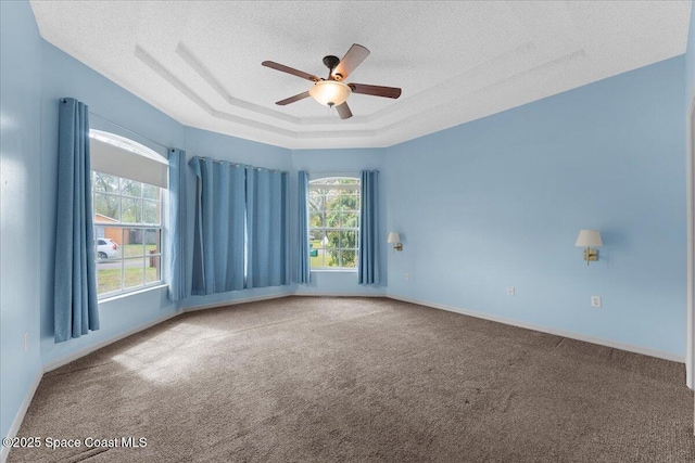 spare room with a wealth of natural light, a raised ceiling, carpet flooring, and a textured ceiling