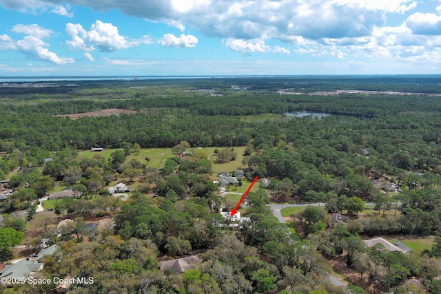 7370 Turkey Point Dr, Titusville, FL 32780 - photo 4