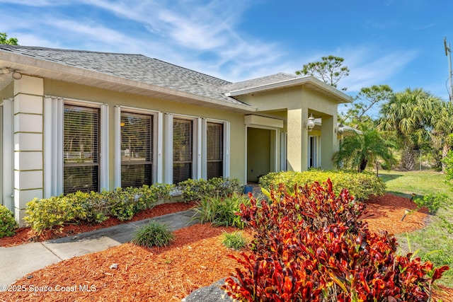 view of exterior entry featuring stucco siding and roof with shingles