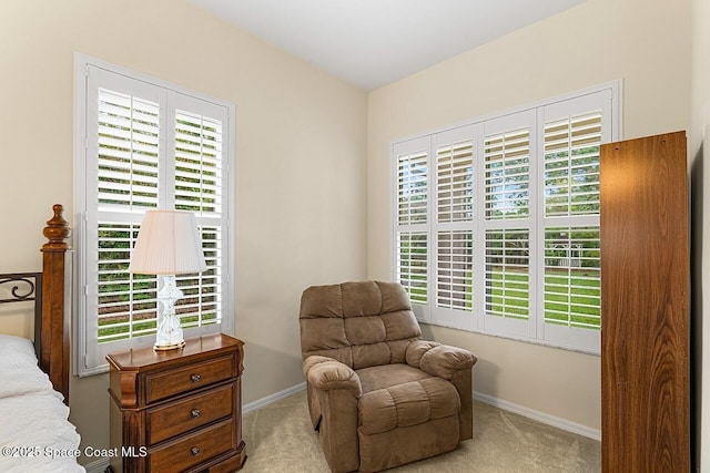 living area with carpet and baseboards