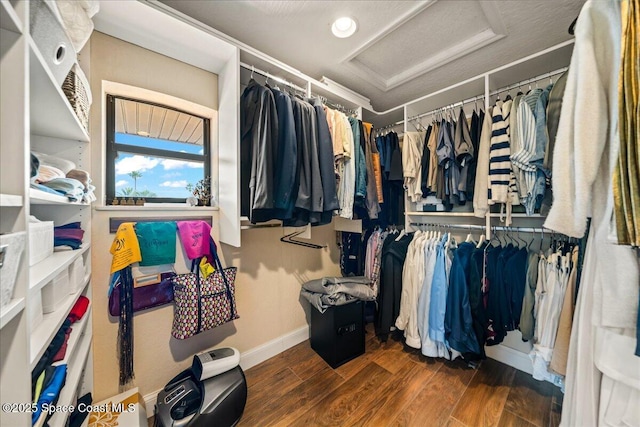 spacious closet featuring attic access and wood finished floors