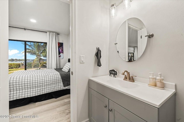 bathroom featuring wood finished floors and vanity