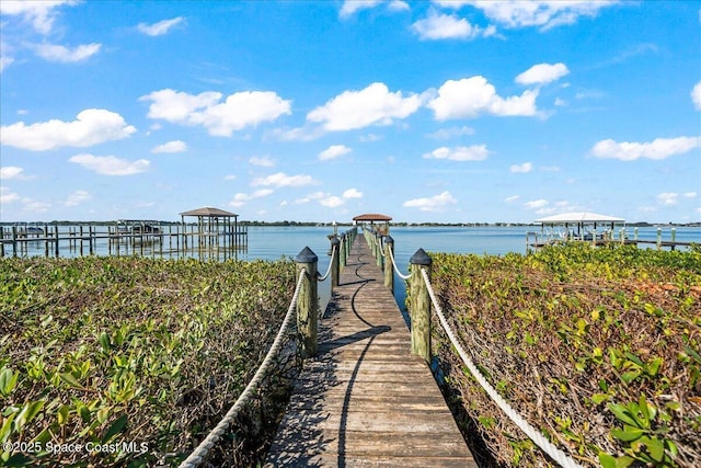 dock area with a water view